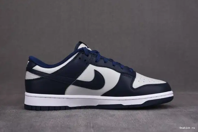 Cheap Nike Dunk 003 Low Georgetown CW1590 0226