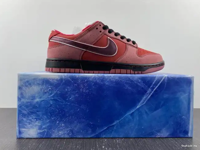 Affordable Dunk Nike Low SB Lobster 313170-661 Red 0220