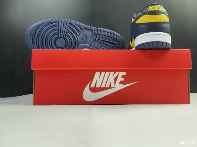 Affordable DD1391-700 Low Michigan Nike Dunk 0227