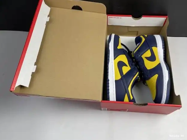 Affordable DD1391-700 Low Michigan Nike Dunk 0227