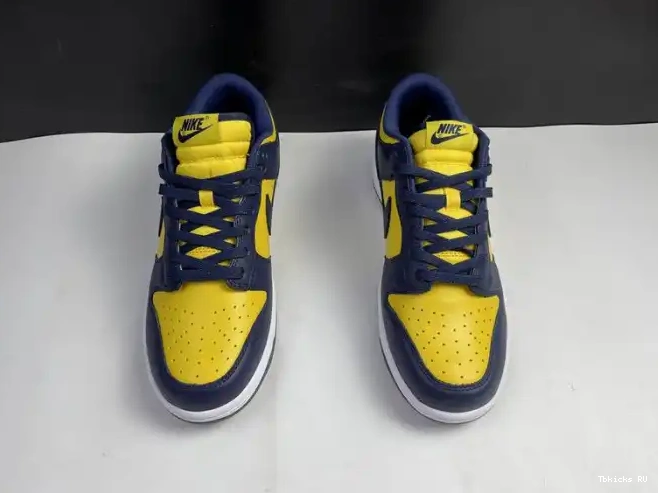 Affordable DD1391-700 Low Michigan Nike Dunk 0227