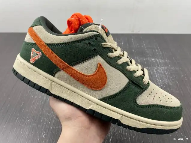 Affordable Low SB 304292-185 Dunk Eire Nike 0222