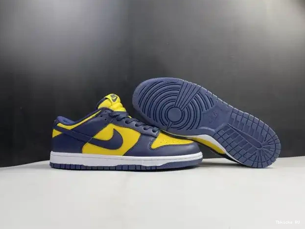 Affordable DD1391-700 Low Michigan Nike Dunk 0227