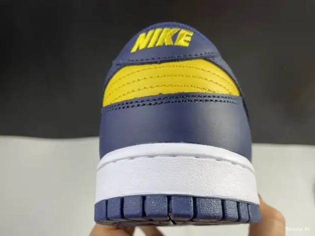 Affordable DD1391-700 Low Michigan Nike Dunk 0227