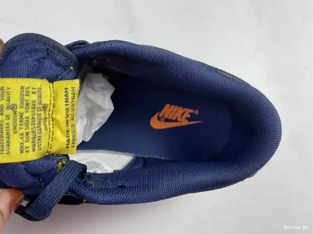 Affordable DD1391-700 Low Michigan Nike Dunk 0227