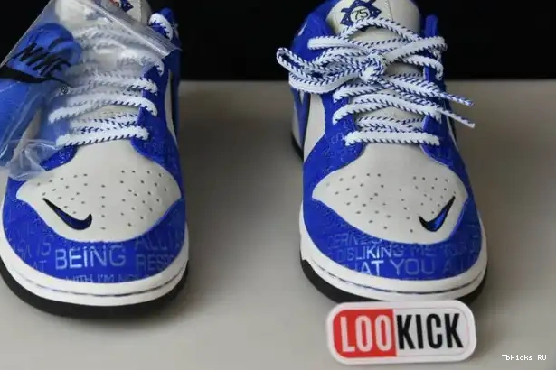 Affordable Dunk Robinson Jackie Nike Low DV2122-400 0212