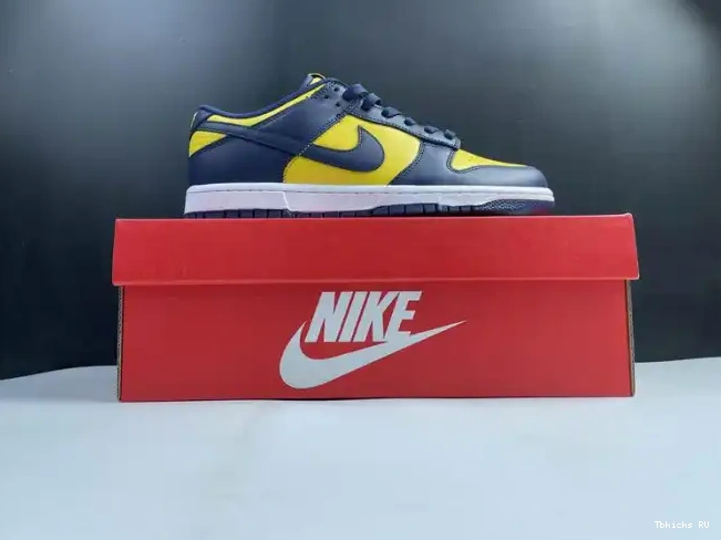 Affordable DD1391-700 Low Michigan Nike Dunk 0227