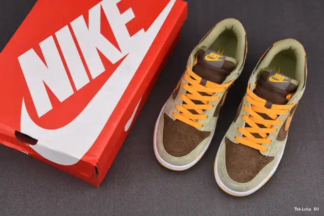 Onekick Dusty Nike DH5360-300 Olive Low Dunk 0303